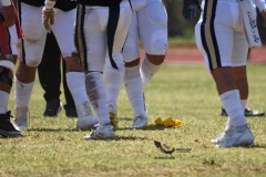 pumas-acatlan-linces-uvm-onefa-2023-liga-mayor-26