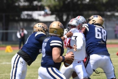pumas-acatlan-linces-uvm-onefa-2023-liga-mayor-44