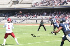 pumas-aguilas-blancas-clasico-2022-124