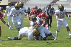 pumas-aguilas-blancas-intermedia-2024-10