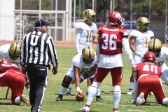 pumas-aguilas-blancas-intermedia-2024-107