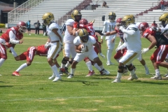 pumas-aguilas-blancas-intermedia-2024-11