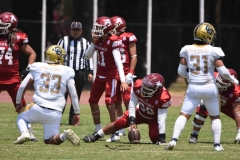pumas-aguilas-blancas-intermedia-2024-132