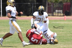 pumas-aguilas-blancas-intermedia-2024-138