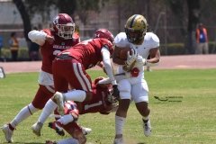 pumas-aguilas-blancas-intermedia-2024-150