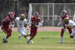 pumas-aguilas-blancas-intermedia-2024-171