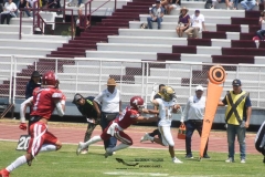 pumas-aguilas-blancas-intermedia-2024-181