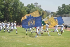 pumas-aguilas-blancas-intermedia-2024-2