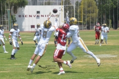 pumas-aguilas-blancas-intermedia-2024-21