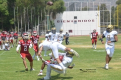 pumas-aguilas-blancas-intermedia-2024-23