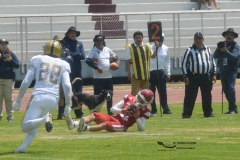 pumas-aguilas-blancas-intermedia-2024-34