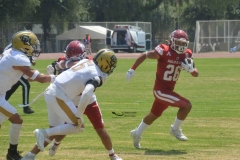 pumas-aguilas-blancas-intermedia-2024-37