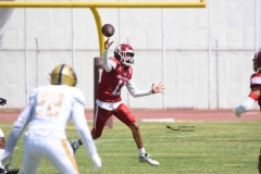 pumas-aguilas-blancas-intermedia-2024-57