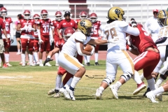 pumas-aguilas-blancas-intermedia-2024-61
