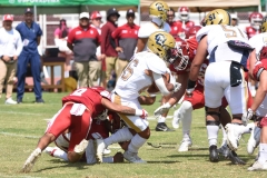 pumas-aguilas-blancas-intermedia-2024-63