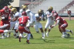 pumas-aguilas-blancas-intermedia-2024-7