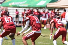 pumas-aguilas-blancas-intermedia-2024-71