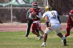 pumas-aguilas-blancas-intermedia-2024-77