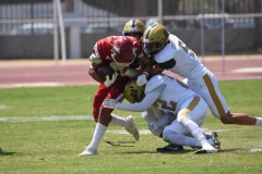 pumas-aguilas-blancas-intermedia-2024-79