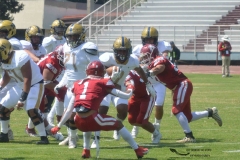pumas-aguilas-blancas-intermedia-2024-8