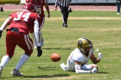 pumas-aguilas-blancas-intermedia-2024-84