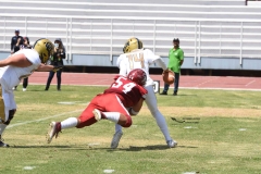 pumas-aguilas-blancas-intermedia-2024-85