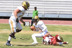 pumas-aguilas-blancas-intermedia-2024-86