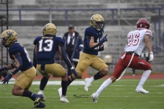 pumas-aguilas-blancas-2024-onefa-17