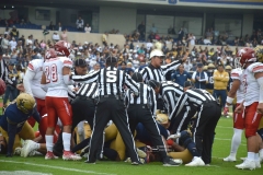 pumas-aguilas-blancas-2024-onefa-180