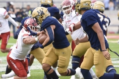 pumas-aguilas-blancas-2024-onefa-62