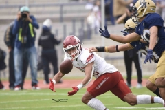 pumas-aguilas-blancas-2024-onefa-75