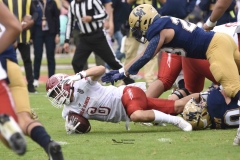 pumas-aguilas-blancas-2024-onefa-85