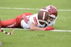 pumas-aguilas-blancas-2024-onefa-97