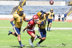 pumas-cu-aguilas-blancas-2025-onefa-mayor-127