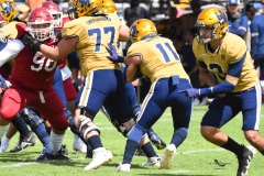 pumas-cu-aguilas-blancas-2025-onefa-mayor-130
