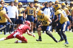 pumas-cu-aguilas-blancas-2025-onefa-mayor-135
