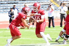 pumas-cu-aguilas-blancas-2025-onefa-mayor-140