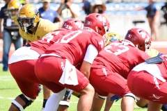 pumas-cu-aguilas-blancas-2025-onefa-mayor-141