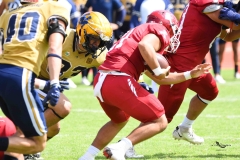 pumas-cu-aguilas-blancas-2025-onefa-mayor-142