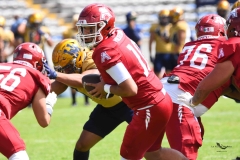 pumas-cu-aguilas-blancas-2025-onefa-mayor-144