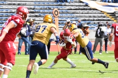 pumas-cu-aguilas-blancas-2025-onefa-mayor-148
