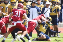 pumas-cu-aguilas-blancas-2025-onefa-mayor-152
