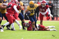 pumas-cu-aguilas-blancas-2025-onefa-mayor-163