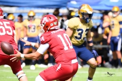 pumas-cu-aguilas-blancas-2025-onefa-mayor-175