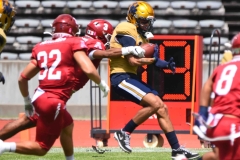 pumas-cu-aguilas-blancas-2025-onefa-mayor-18
