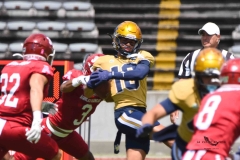 pumas-cu-aguilas-blancas-2025-onefa-mayor-19