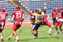 pumas-cu-aguilas-blancas-2025-onefa-mayor-21