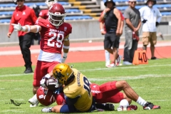 pumas-cu-aguilas-blancas-2025-onefa-mayor-22
