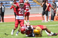 pumas-cu-aguilas-blancas-2025-onefa-mayor-23