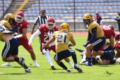 pumas-cu-aguilas-blancas-2025-onefa-mayor-30